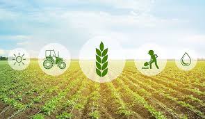 Agriculture and Value Change